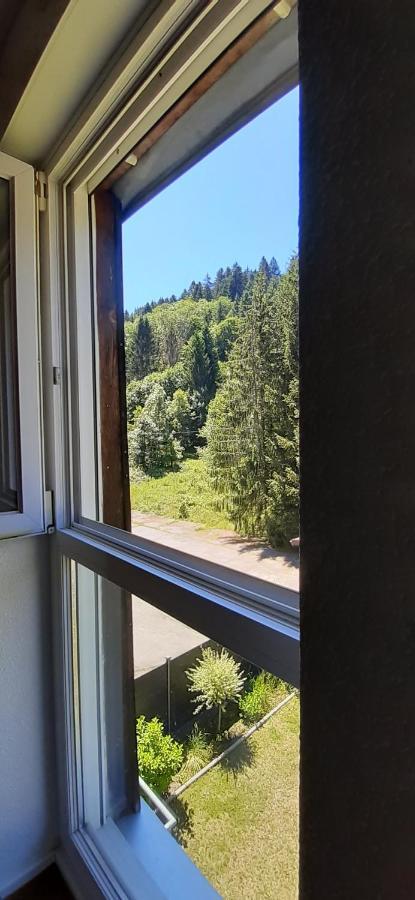 Le Montagnard Apartamento Gérardmer Exterior foto